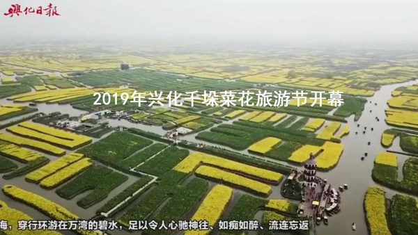 兴化里下河游船码头